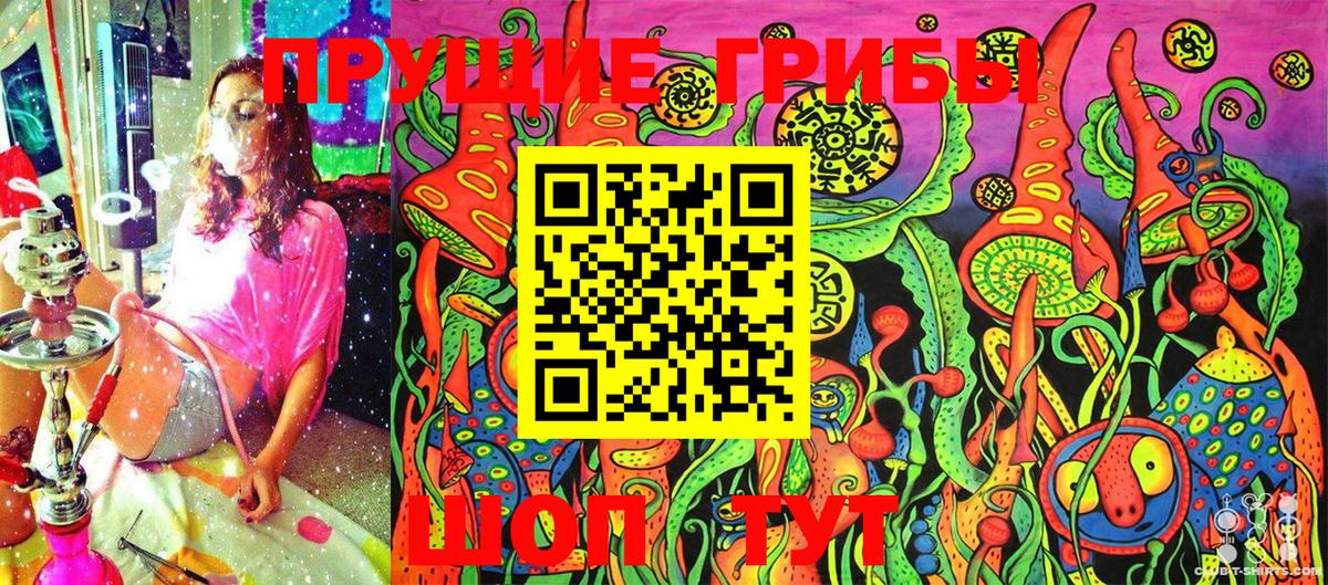 Галлюциногенные грибы Psilocybine cubensis  Вход с VPN  Красный Сулин 